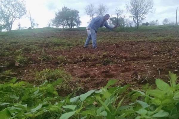 FND colocó 3 mmdp en Sinaloa del ciclo 2021-2022