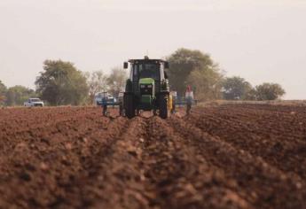 Cancelados los segundos cultivos en Sinaloa; no hay agua: Conagua