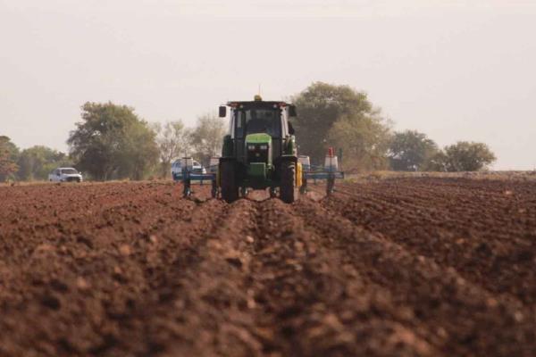 Cancelados los segundos cultivos en Sinaloa; no hay agua: Conagua