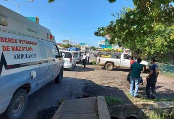 Abejas pican más de 100 veces a hombre cuando cortaba guayabas, en Mazatlán