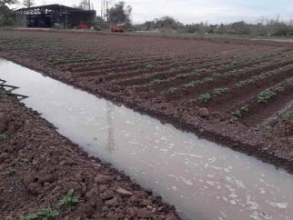 Pidieron riego para hortalizas y lo usan para frijol; Conagua restringe el agua al 075 Pidieron riego para hortalizas y lo usan para frijol; Conagua restringe el agua al 075