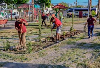 Continúa DIF Ahome con campaña “Cultivando un Recuerdo” en el parque Los Naranjos