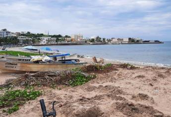 Construye empresa a ras de playa y daña ecosistema marino