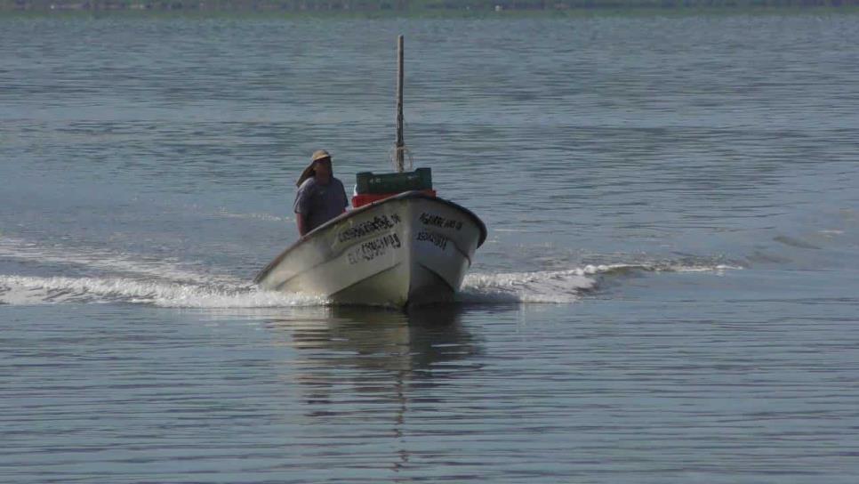 Denuncian saqueo en bahía de Topolobampo con artes ilegales de pesca