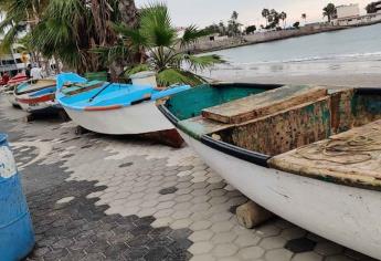 Sacan pangas del mar los pescadores por «Pamela»