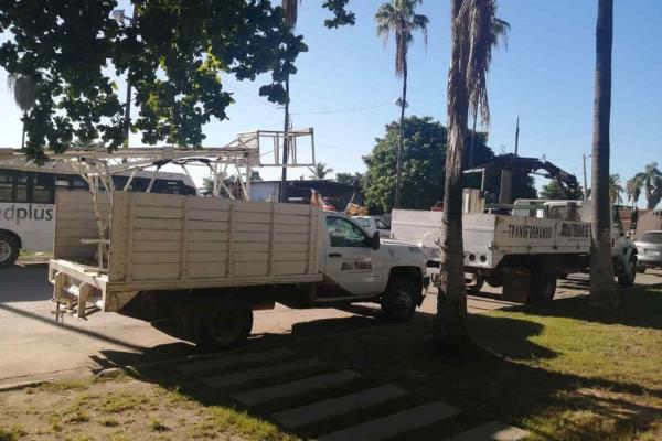 Disminución en participación federal originó recorte al diésel: Tesorera