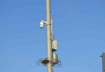 Destruyen de nuevo cámaras de vigilancia en Culiacán y Mazatlán