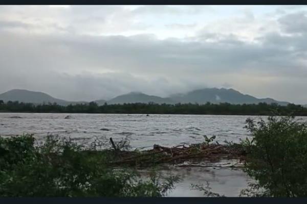 Crece el cauce del río Presidio; Protección Civil asegura que no hay riesgo