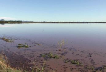 Más de 3 mil hectáreas dañadas por lluvias en el Valle del Fuerte