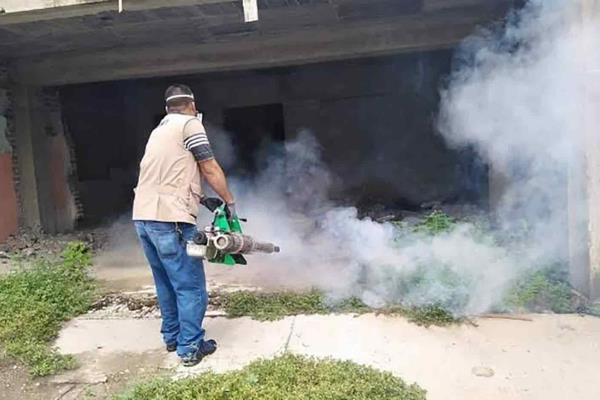 Se registran dos fallecimientos por dengue grave en la zona norte de Sinaloa