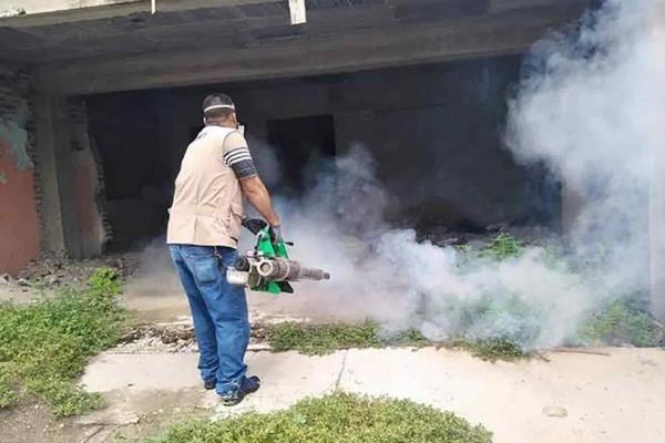En Sinaloa ya suman 178 casos de dengue en este año