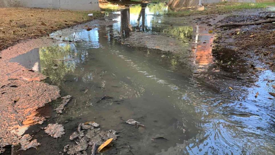 Riesgo de contingencia ambiental en Culiacán por derrame de aguas negras en el río Tamazula