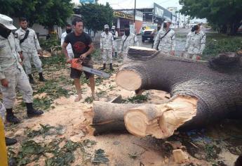 Avanza restablecimiento de la ciudad tras el paso del huracán «Pamela»