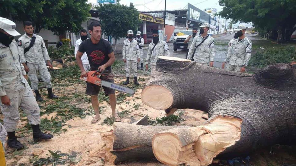 Avanza restablecimiento de la ciudad tras el paso del huracán «Pamela»