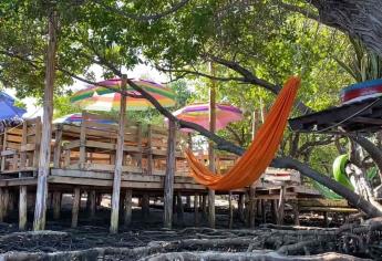 «Las Hamacas», restaurante escondido entre el paraíso de un manglar