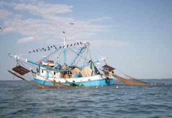 Pesca atípica y accidentada enfrenta la flota camaronera