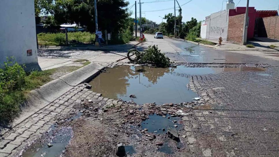 Lluvias por «Nora» y «Pamela» dejan daños en vialidades de Mazatlán: alcalde