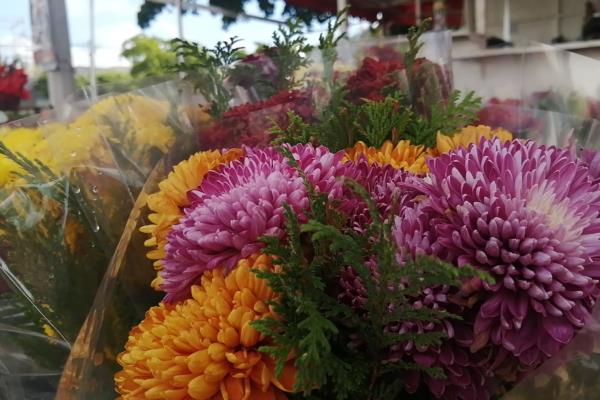 Floristas de Los Mochis denuncian competencia desleal de «golondrinos»