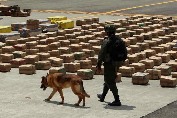 Perra policía descubre casi 4 mil 000 kilos de marihuana ocultos en ollas a presión