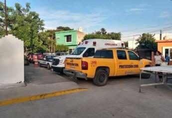 Dos adultos son atacados por enjambre en el municipio de Concordia