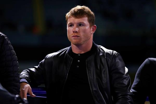 «Canelo» Álvarez: «Plant no pasará del noveno asalto»