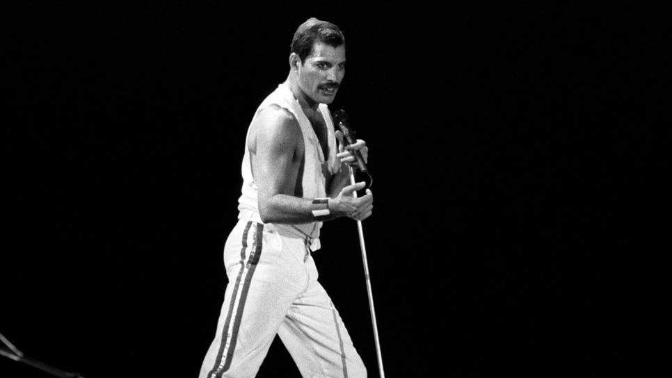 Los músicos que Freddie Mercury amaba y odiaba, expuestos en un nuevo libro Los músicos que Freddie Mercury amaba y odiaba, expuestos en un nuevo libro