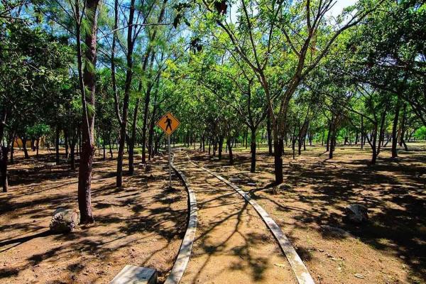Se alista el Parque Central de Mazatlán para recibir a mascotas pero con restricciones