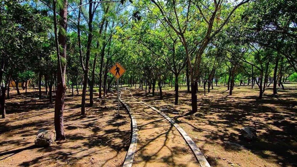 Se alista el Parque Central de Mazatlán para recibir a mascotas pero con restricciones