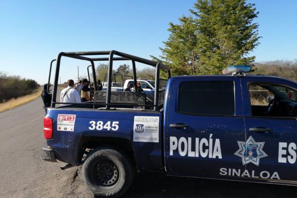 Reportan león suelto en La Divisa, en Culiacán; Zoológico inicia búsqueda