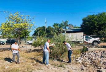 Extiende Gobierno Municipal jornadas de limpieza a parques y escuelas de Los Mochis.