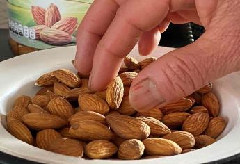 Almendras ayudan a controlar glucosa en sangre en diabéticos y prediabéticos