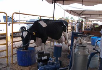 Ganaderos de Ahome piden destrabar Centro de acopio de Leche Liconsa