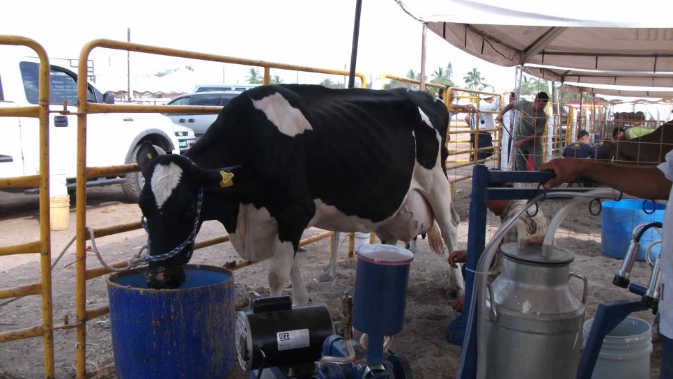 Ganaderos de Ahome piden destrabar Centro de acopio de Leche Liconsa