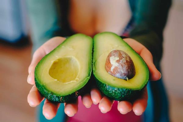 ¿Qué tan viable es sembrar aguacate en Sinaloa?