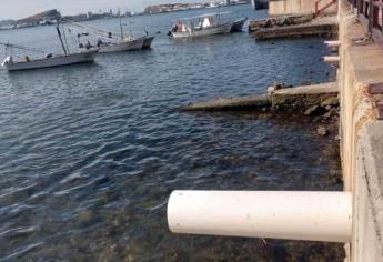 Repara JAPAMA tubería de aguas negras que contaminaba Topolobampo