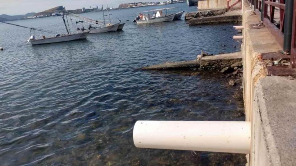 Repara JAPAMA tubería de aguas negras que contaminaba Topolobampo