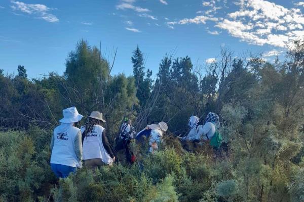En búsqueda federal localizan restos humanos, suman 186 cuerpos en El Guachapori