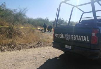 Hallan cadáver entre La Primavera y Campo Argentina