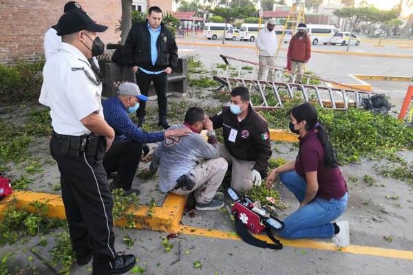 Jardinero cae de altura de 3 m cuando podaba un árbol en Los Mochis