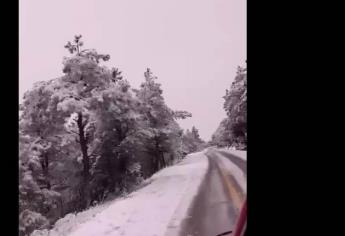 Se registra la primera nevada en la sierra de Sinaloa