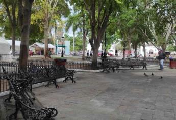 Remodelación de Plazuela 27 de septiembre no afectará flora del área