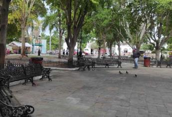 Considera Inspección dar vida a plazuelas de Los Mochis con instalación de comercios