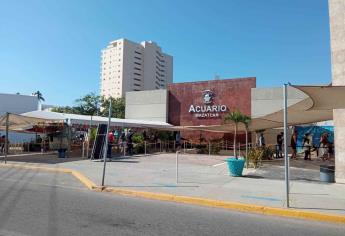 Incierto el destino de Acuario Mazatlán y sus empleados ante su cierre