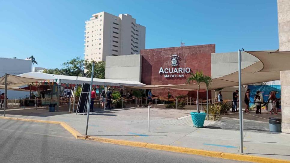 Incierto el destino de Acuario Mazatlán y sus empleados ante su cierre