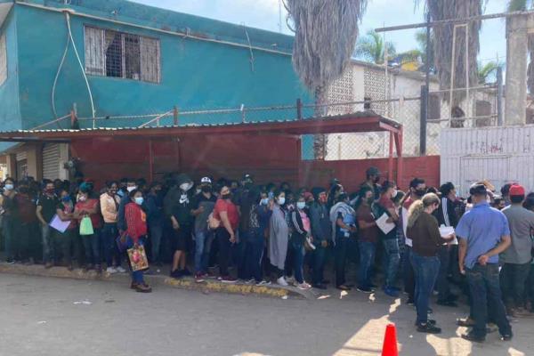 Sin sana distancia, jóvenes de campos agrícolas se vacunan en Villa Juárez