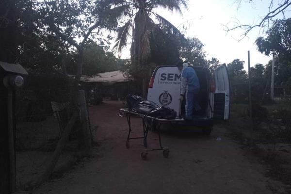 Vecino de Villa Juárez muere electrocutado al podar el árbol de su casa