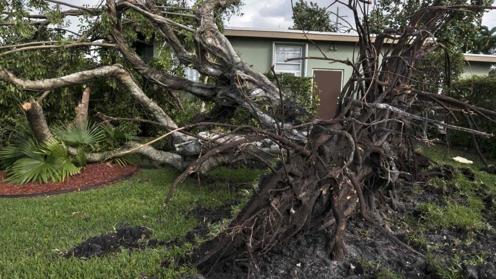 Un tornado destruye decenas de viviendas y deja varios heridos en Florida