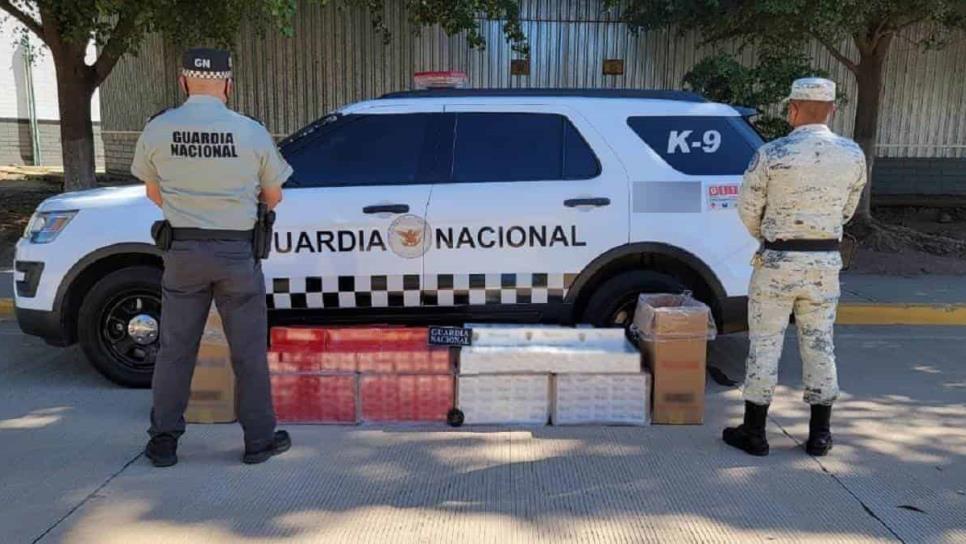 Asegura Guardia Nacional 60 mil cigarros «piratas» en central de autobuses de Culiacán