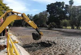 Perros, peces y hasta tortugas sacan de canal que abastece planta de agua de Los Mochis