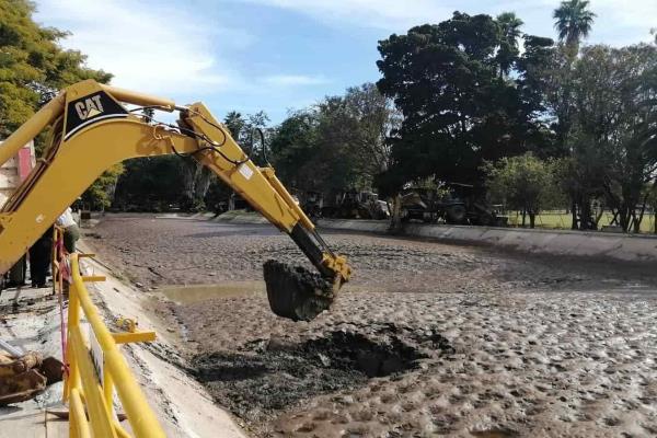 Perros, peces y hasta tortugas sacan de canal que abastece planta de agua de Los Mochis